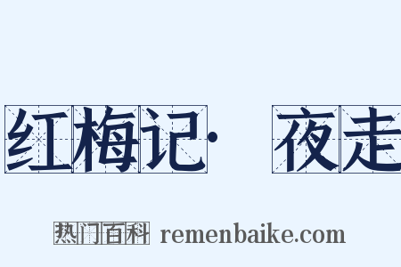 红梅记·夜走是什么意思的图片